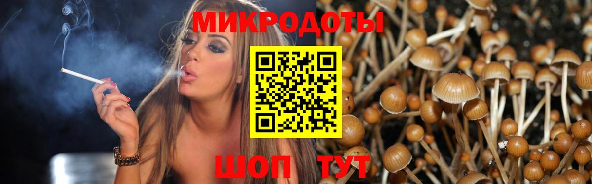 Галлюциногенные грибы прущие грибы  Псилоцибиновые грибы мицелий  Вход с VPN  Солнечногорск 